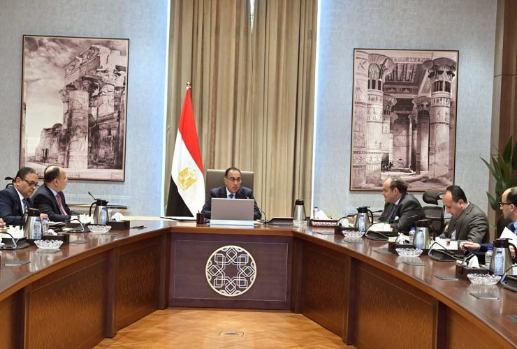 مجلس الوزراء المصري