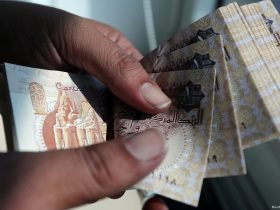 العملة المصرية