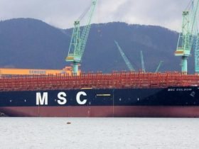 شركة MSC