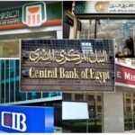 البنوك المصرية