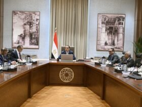 المتحف المصري