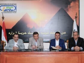 المناطق الحرة