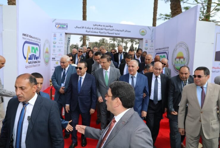 الزراعة