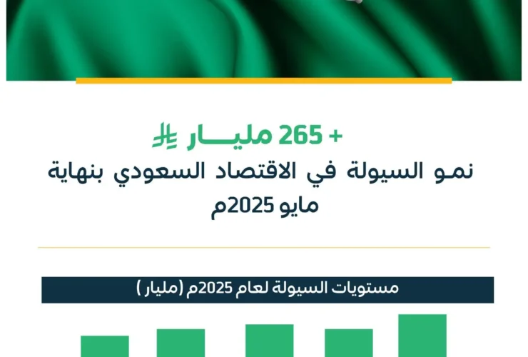 السيولة المحلية