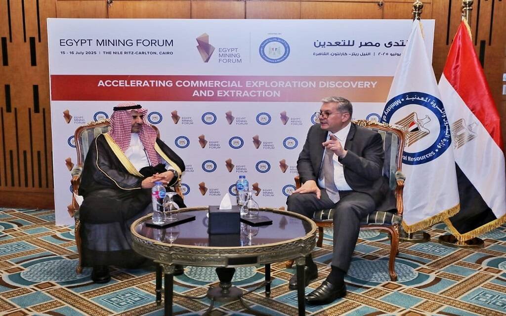 قطاع التعدين