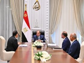 السيسي