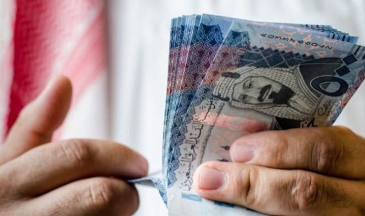 الصكوك المحلية