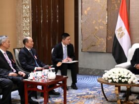 شركة CNCEC