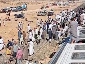 وزير النقل