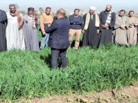 الإرشاد الزراعي