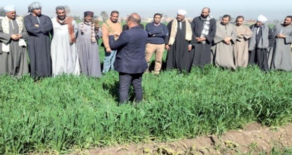 الإرشاد الزراعي
