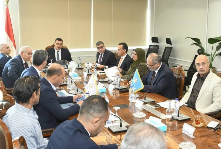 السعودية المصرية