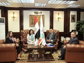 تنمية المشروعات