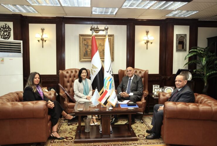 تنمية المشروعات
