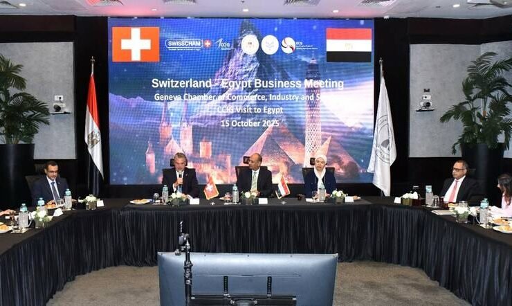 الاستثمارات السويسرية